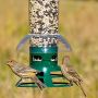 Squirrel Slammer Wild Bird Feeder