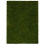 Tapis gazon Dunes 4 x 6 pi