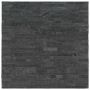 Coal Canyon Mini Ledger Panel Natural Quartzite Wall Tile