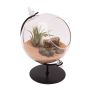 Desktop Glass Terrarium Planter with Metal Stand