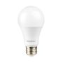 LED A19 ES Non Dimmable 5000 Kelvin-3/Pack