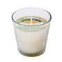 Color Changing LED Citronella Candle