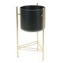 Modern Planter Gold Stand Black Pot