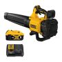 Dewalt 20V Lithium Ion Cordless Blower Kit