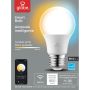 60 Watt A19 LED WiFi Smart Bulb