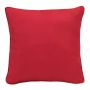 18x18 Throw Pillow