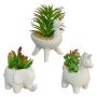 Animal Shaped Pot With Plant-3 Assorted