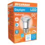 6 Watt Dimmable Medium Base LED PAR16 Bulb-1/Pack