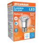 6 Watt Dimmable Medium Base LED PAR16 Bulb-1/Pack