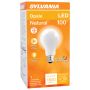 13 Watt Dimmable Medium Base LED A21 Bulb-1/Pack