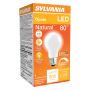 8 Watt Dimmable Medium Base LED A19 Bulb-1/Pack