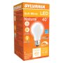 5.5 Watt Dimmable Medium Base LED A19 Bulb-1/Pack