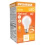 5.5 Watt Dimmable Medium Base LED A19 Bulb-1/Pack