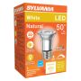 6 Watt Dimmable Medium Base LED PAR16 Bulb-1/Pack