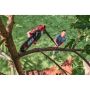 SKIL Pwr Core 20 8" Pole Saw Kit