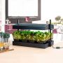 Sunblaster Grow Light Garden Hallifax Seed