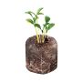 Windowsill Herb Greenhouse Kit