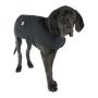 Petit manteau utilitaire pour chien