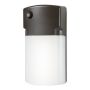 LED Wall Sconce