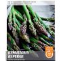 Asparagus- Mary Washington