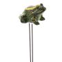 Frog Water Meter