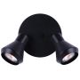 Track Canopy 2 Light- Black