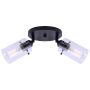 Joni Matte Black 2 Light Canopy Light