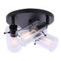 Joni Matte Black 3 Light Canopy Light