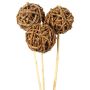 Root Ball Assorted Stems