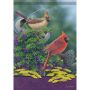 Backyard Color Durasoft Large Flag