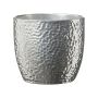 5.5" Boston Pot