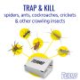 Terro Spider And Insect Traps-4/Pack