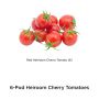 AeroGarden Heirloom Cherry Tomato Seed Pod Kit (6-Pod)