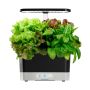 AeroGarden Heirloom Salad Greens Seed Pod Kit (6-Pod)