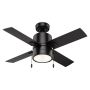 Beck 42" Ceiling Fan