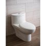 Tofino Dual Flush 1-Piece Concealed Toilet