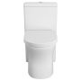 Cosette Dual Flush 1-Piece Concealed Toilet