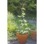 48" Spiral Obelisk