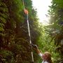 WORX 20V PowerShare 20" 2-in-1 Hedge Trimmer