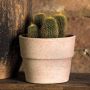 4.5" Liscio Clay Mini Cover Pot