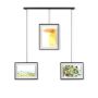 Exhibit Picture Frames, Set of 3