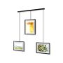 Exhibit Picture Frames, Set of 3