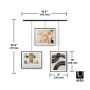 Exhibit Picture Frame 8 x 10" Set of 3