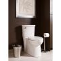 Décor White Right Height Elongated Concealed Toilet