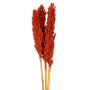 Assorted Milo Berries Stems Terra Cotta Or Natural