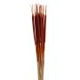 Assorted Cattails And Harvest Corn