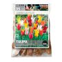 Assorted Lily Tulip Fall Bulb