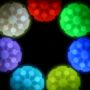 GlowStreak LED Ball Disc-O