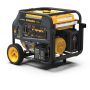 Dual Fuel Portable Generator 10000W Electric Start 120/240V