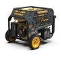 Dual Fuel Portable Generator 10000W Electric Start 120/240V